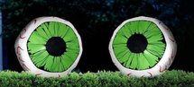 Groene Ogen Opblaasbaar 2 stuks Verhuur