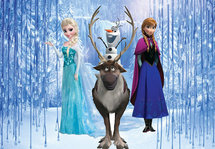 Frozen Backdrop 200x250cm Verhuur