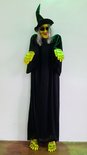 Heks 'Help Me' Figuur Verhuur