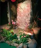 Jungle Waterval Scene 210cm Verhuur