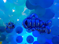 Onderwater Tunnel Diepzee Ballondecoratie
