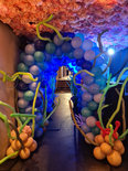 Onderwater Tunnel Diepzee Ballondecoratie