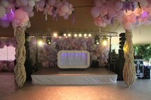 Lila Bloesemboom Ballon Sculptuur