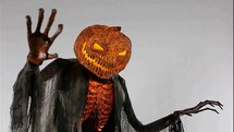 Verbrande Pompoen Animatron Bewegend Figuur