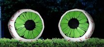 Groene Ogen Opblaasbaar 2 stuks Verhuur