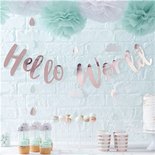 Hello World Roze Gouden Letter Slinger 2m