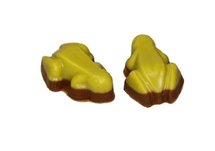 Opkikkertjes Chocolade Kikkers 500gr