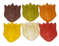 Tulpen Gekleurd Chocolade 500gr