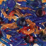 Blauw Oranje Inktvissen 500gr