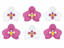 Orchidee Tafeldecoratie 6st