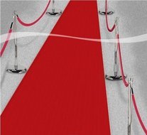 Rode Loper Klassiek 450cm Wegwerp