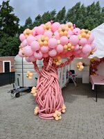 Rosegold Bloeiende Baobab Boom