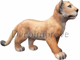 West-Afrikaanse Leeuw Welp Staand Figuur 50cm Verhuur