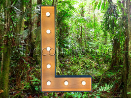 Lichtletter Hout 'L' Verhuur