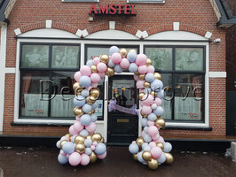 Ballonnenboog Soft Pastel Pink and Blue Organic