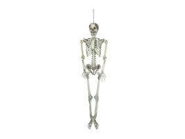 Skelet Hangend Figuur