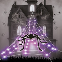 LED Spinnenweb met Spin Centraal 5m