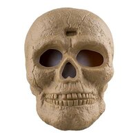 Doodshoofd met Licht