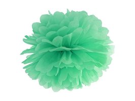 Mint Groen Pompom Decoratie 35cm Mint