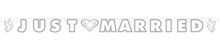 Trouwen 'Just Married' Letter Banner 180cm