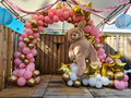 Ballonnenboog Manen en Sterren Roze met Goud Dubbeldeurs incl Teddybeer op Wolk