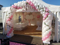Ballonnenboog Standaard met Klimop Dubbeldeurs Clusters van 4 