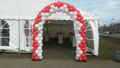 Ballonnenboog Sterpatroon Enkeldeurs Clusters van 4