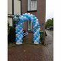 Ballonnenboog Frozen Ijs Enkeldeurs