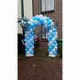 Ballonnenboog Frozen Ijs Enkeldeurs