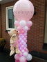 Ballonnenpilaar Deluxe Roze Teddyberen met Persoonlijke Bedrukking