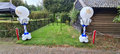 Ballonnenpilaar Luxe Koninklijk Blauw en Wit met Persoonlijke Opdruk