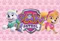 Roze Paw Patrol Backdrop 200x250cm Verhuur