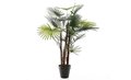 Fortunei Palm Kunstplant 90cm