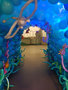 Onderwater Tunnel Diepzee Ballondecoratie