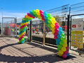 Ballonnenboog Hawaii Standaard Extra Breed