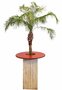 Statafel Whitewash met Palmboom decoratie 