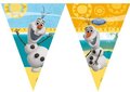 Frozen Olaf Vlaggenlijn 2m