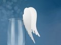 Duiven Vleugels Glas Plaatskaarten 10st