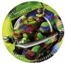 TM Ninja Turtles Papieren Dessert Borden 8st